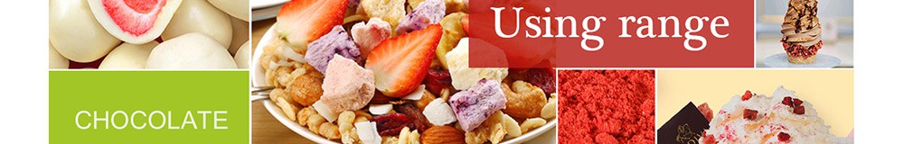 freeze dried fruit powder for smoothies factory freeze dried fruit powder for smoothies factory