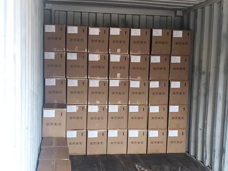 Bekukan Kepingan Pitaya Kering