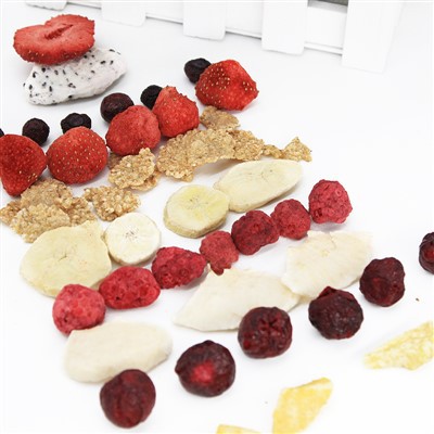 Buah -buahan dan sayur -sayuran kering beku terbaik