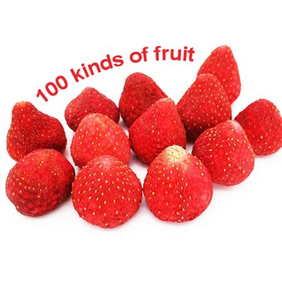 Strawberi Kering Nature's Turn Freeze